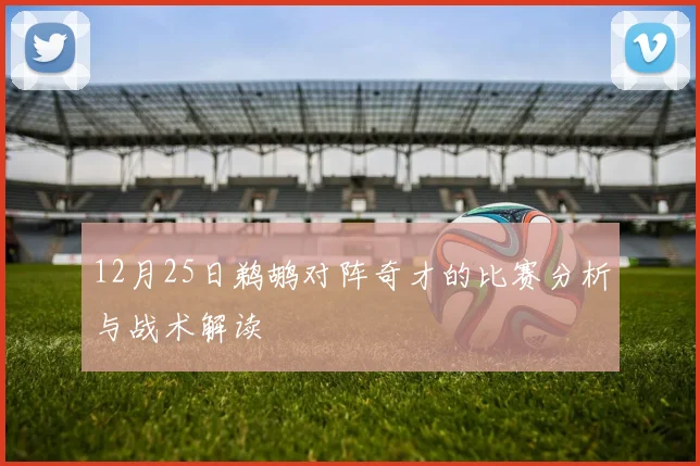 12月25日鹈鹕对阵奇才的比赛分析与战术解读